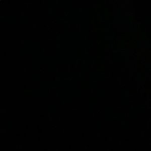 Meet your Posher, Kinzy